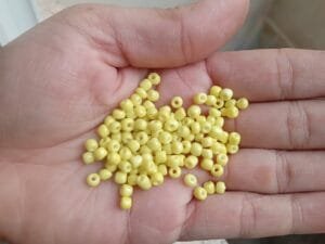 Miçangão leitoso 3.6mm(6/0) - AMARELO - pct c/10g