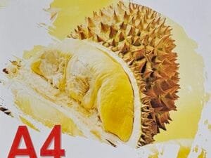 Vinil Prata Holografico Adesivo - para impressão - A4 - Su´s - pct c/10 fls