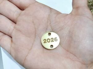 Passador redondo Mod 05 - para elástico roliço ou tassel - 2026 deitado - espelhado dourado - pct c/05 und